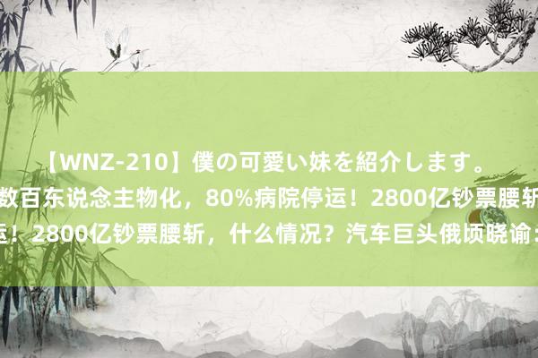 【WNZ-210】僕の可愛い妹を紹介します。 告急！这国疫情突袭，数百东说念主物化，80%病院停运！2800亿钞票腰斩，什么情况？汽车巨头俄顷晓谕：暂停