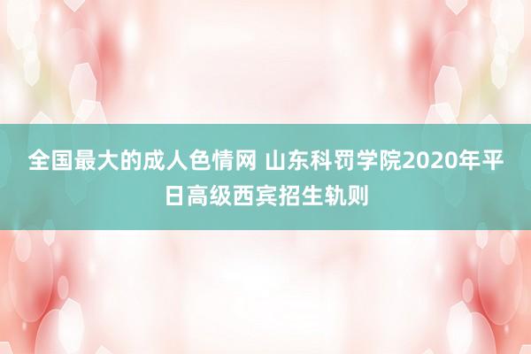 全国最大的成人色情网 山东科罚学院2020年平日高级西宾招生轨则