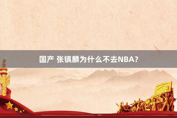 国产 张镇麟为什么不去NBA？